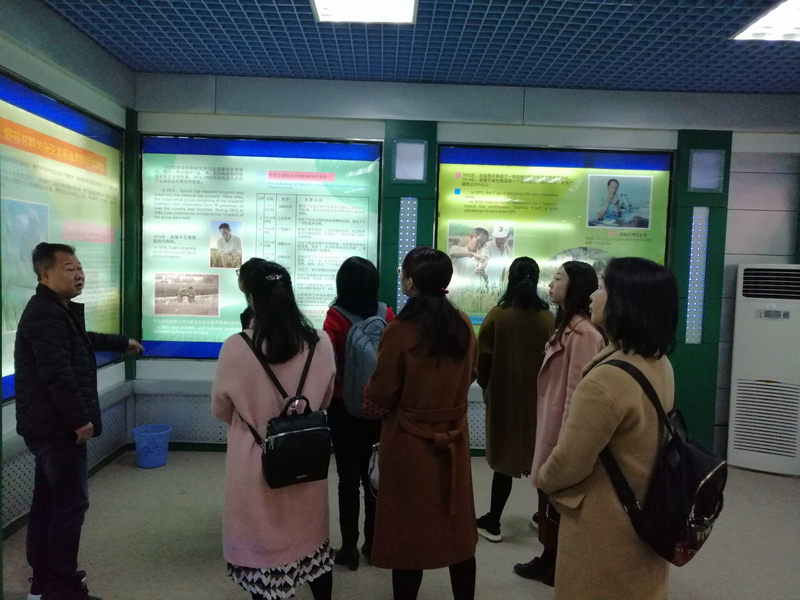 1543890481676095022.jpg 5.jpg